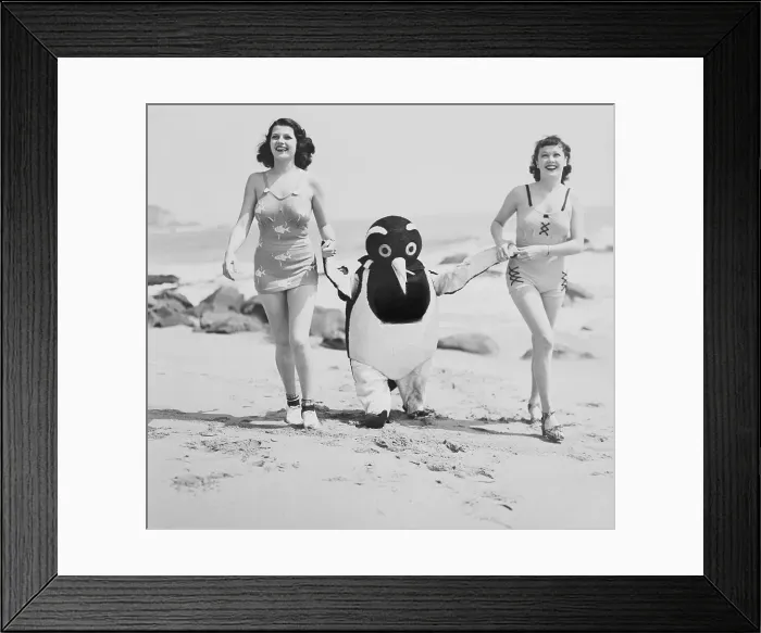 Framed Print : Rita Hayworth and Patricia Farr Strolling with Penguin Framed Print : Rita Hayworth and Patricia Farr Strolling with Penguin