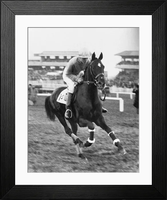 Framed Print : Grand National Entry Framed Print : Grand National Entry