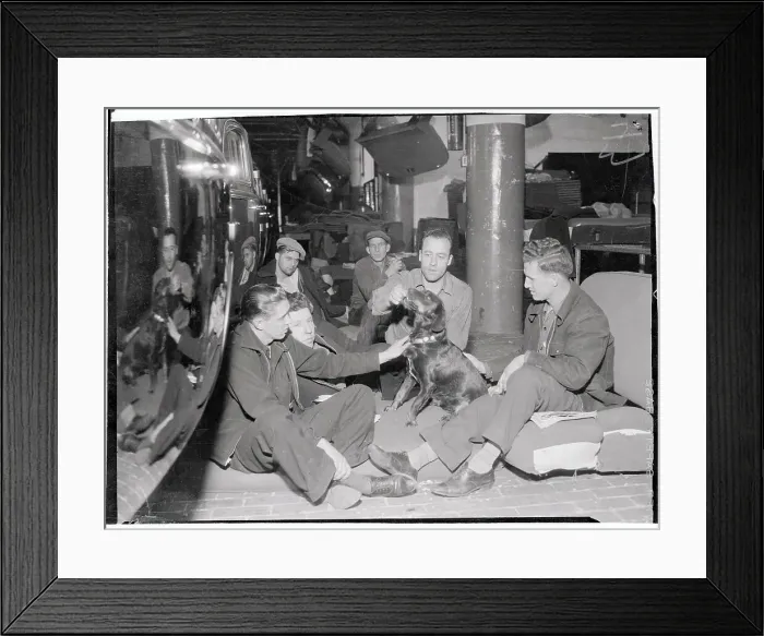 Framed Print : Plant Strikers Petting Stray Dog Framed Print : Plant Strikers Petting Stray Dog