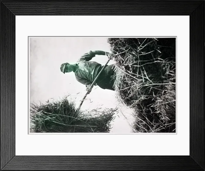 Framed Print : Baling Hay On New England Farm Framed Print : Baling Hay On New England Farm