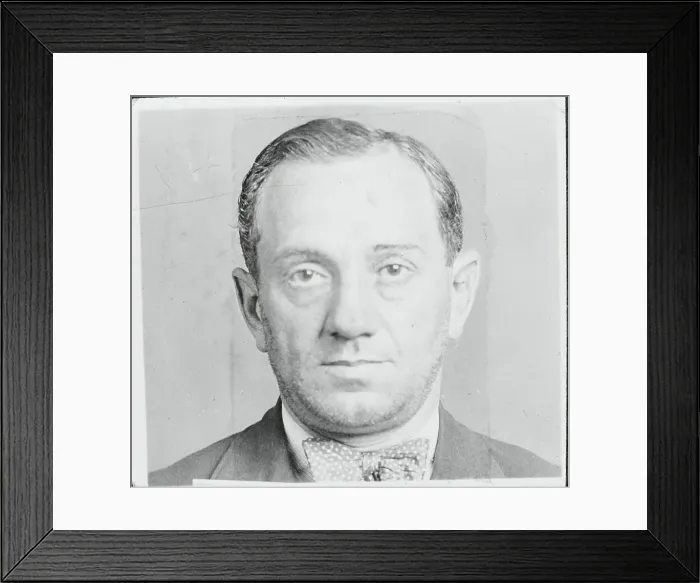 Framed Print : Portrait of Joseph Epstein Framed Print : Portrait of Joseph Epstein