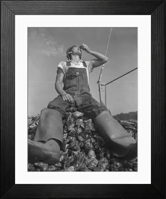 Framed Print : Man Eating Oyster Framed Print : Man Eating Oyster