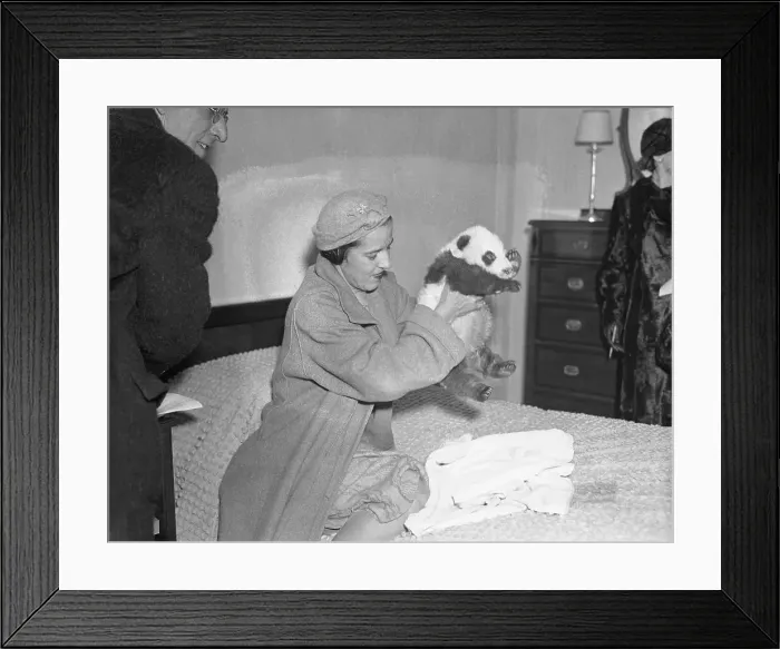 Framed Print : Mrs. William H. Harkness Holding Panda Framed Print : Mrs. William H. Harkness Holding Panda