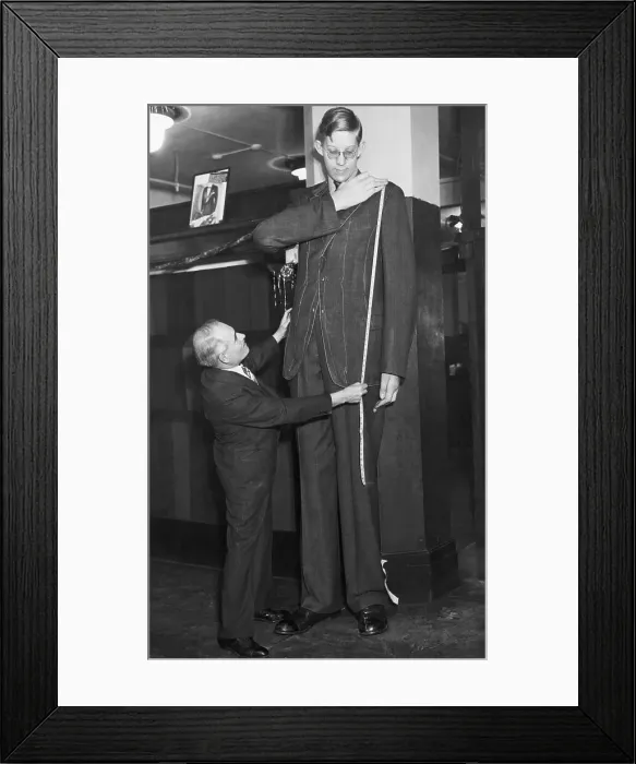 Framed Print : Tailor With Tallest Man, Robert Wadlow