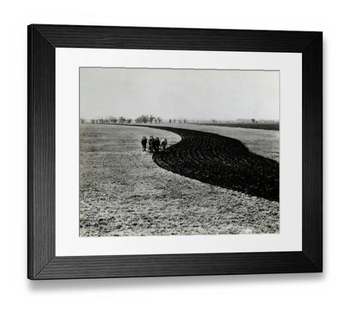 Framed Print : Horse-Drawn Plowing Contour Strip Field Framed Print : Horse-Drawn Plowing Contour Strip Field