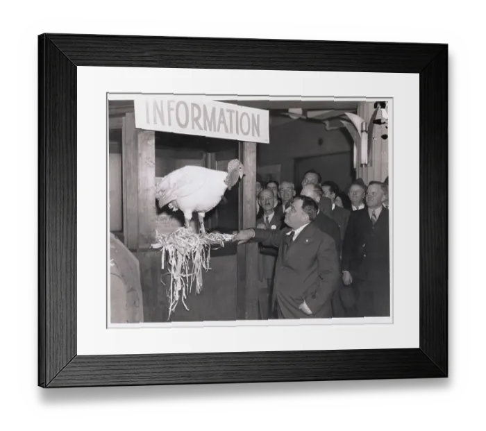 Framed Print : Mayor Fiorello La Guardia with Turkey at the Annual Poultry Show Framed Print : Mayor Fiorello La Guardia with Turkey at the Annual Poultry Show