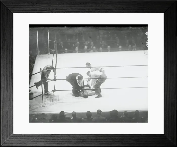 Framed Print : Handlers Picking up Boxer Framed Print : Handlers Picking up Boxer