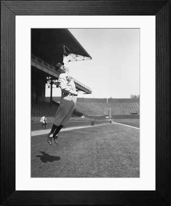 Framed Print : Joe DiMaggio Jumping To Catch Baseball