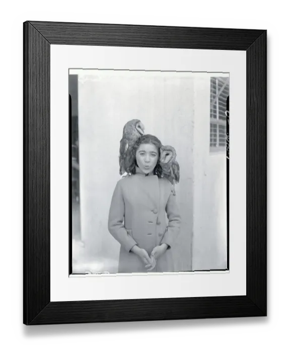 Framed Print : Edith Fellowes and Owls Framed Print : Edith Fellowes and Owls