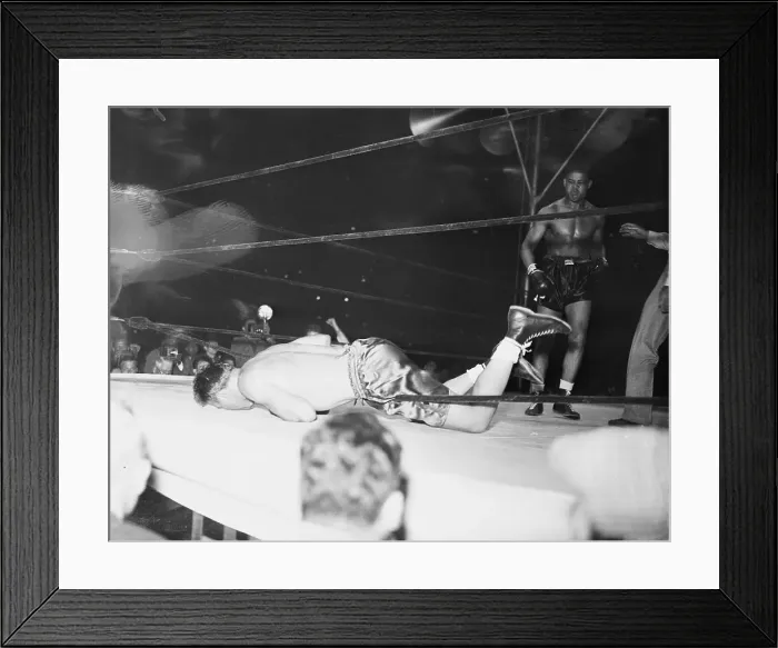 Framed Print : Boxer Jack Sharkey Down for the Count
