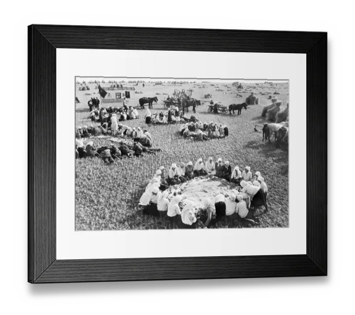 Framed Print : Farm Workers Sit in Rings in Field Framed Print : Farm Workers Sit in Rings in Field