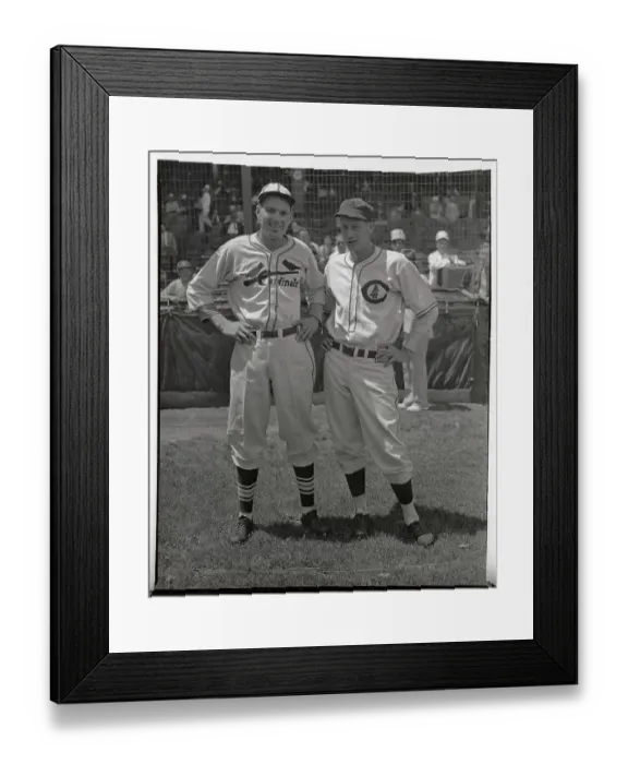 Framed Print : Dizzy Does It Again Framed Print : Dizzy Does It Again