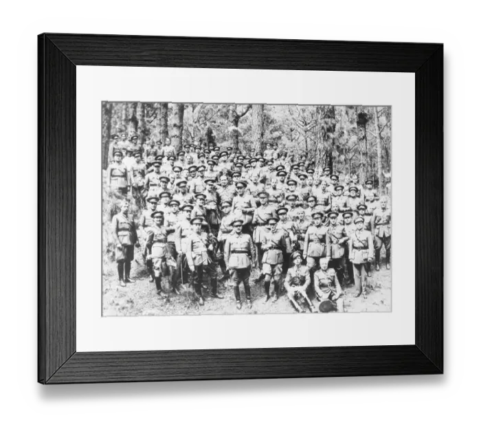 Framed Print : Group Portrait of Military Officials and Troops on Canary Island Framed Print : Group Portrait of Military Officials and Troops on Canary Island