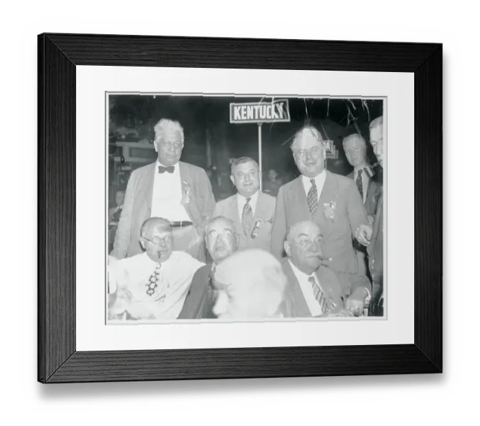 Framed Print : Illinois Delegation Framed Print : Illinois Delegation