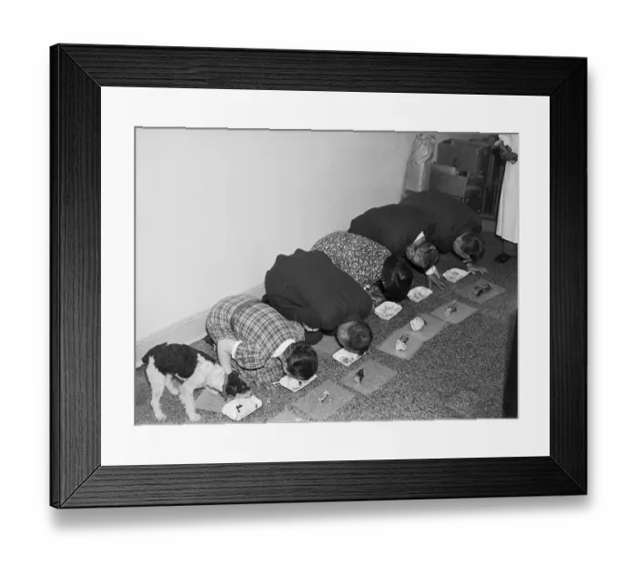 Framed Print : Dinner Guests Eat Like Dogs Framed Print : Dinner Guests Eat Like Dogs