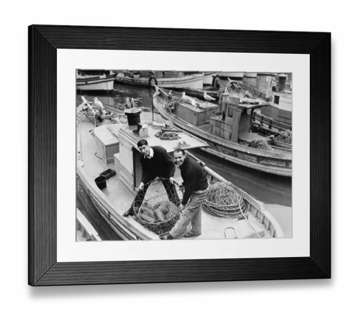 Framed Print : Joe DiMaggio and Frank Croseti Handling Crab Basket Aboard Boat Framed Print : Joe DiMaggio and Frank Croseti Handling Crab Basket Aboard Boat