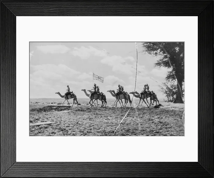 Framed Print : Camel Corps Carry Union Jack Framed Print : Camel Corps Carry Union Jack