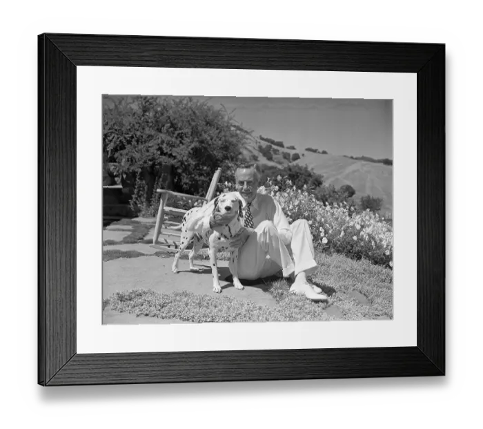 Framed Print : Eugene O'Neill Petting Dalmation Framed Print : Eugene O'Neill Petting Dalmation