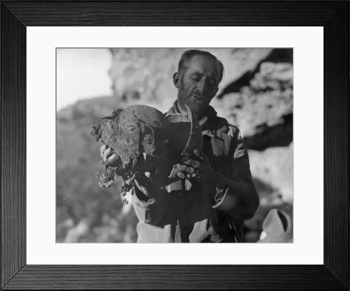 Framed Print : Seven and a Half Foot Mummies Brought Back by Explorer