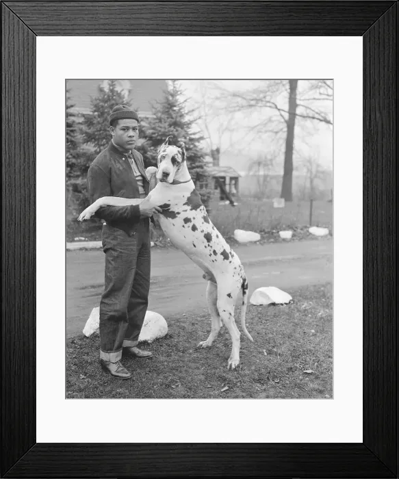 Framed Print : Joe Louis Posing with Great Dane Framed Print : Joe Louis Posing with Great Dane