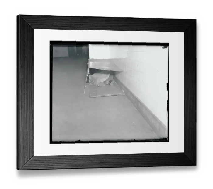 Framed Print : Seeking Shelter from the Cold