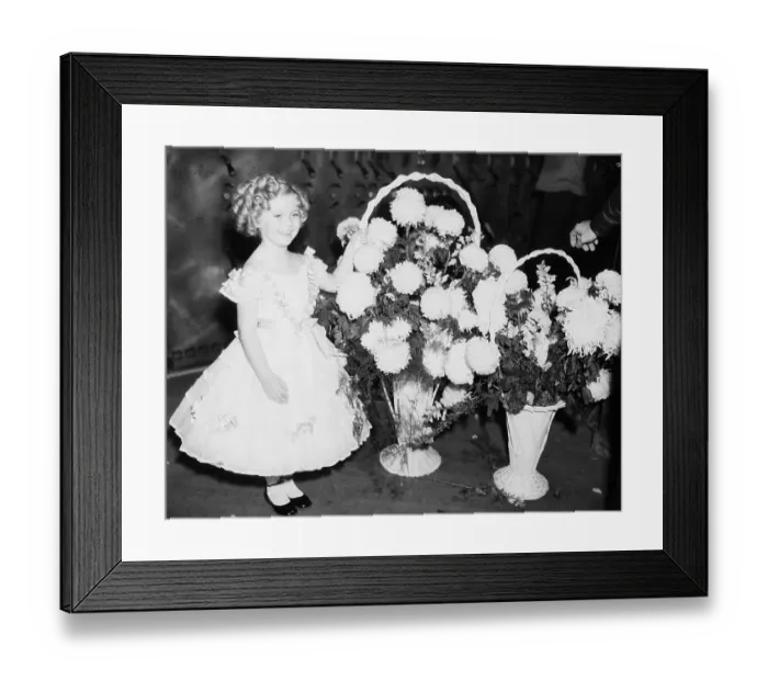 Framed Print : Shirley Temple With Flower Baskets Framed Print : Shirley Temple With Flower Baskets