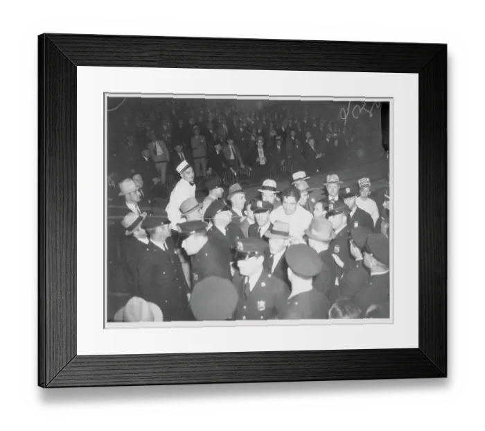 Framed Print : Enter, the Larruping Livermore Lothorio Framed Print : Enter, the Larruping Livermore Lothorio
