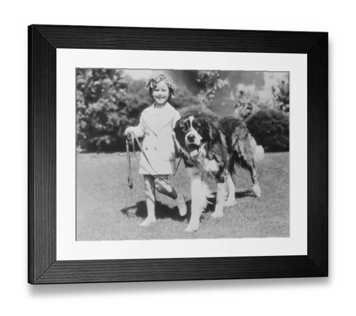 Framed Print : Shirley Temple with Her Dog Framed Print : Shirley Temple with Her Dog