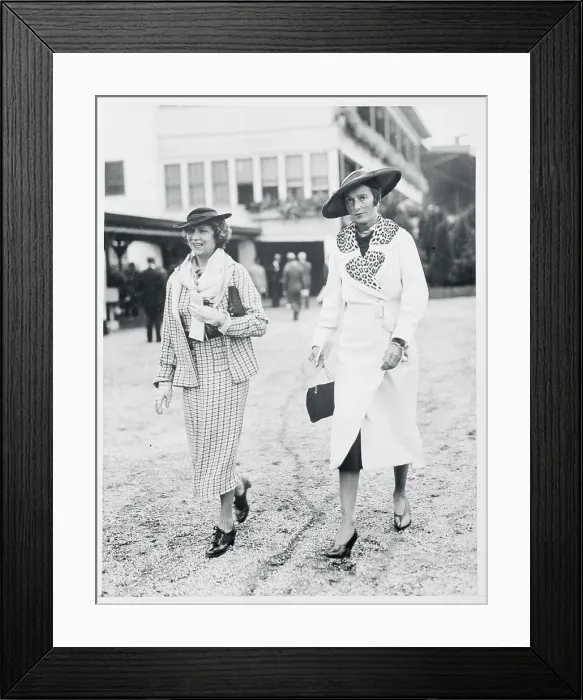 Framed Print : Two Friendly Socialites Framed Print : Two Friendly Socialites