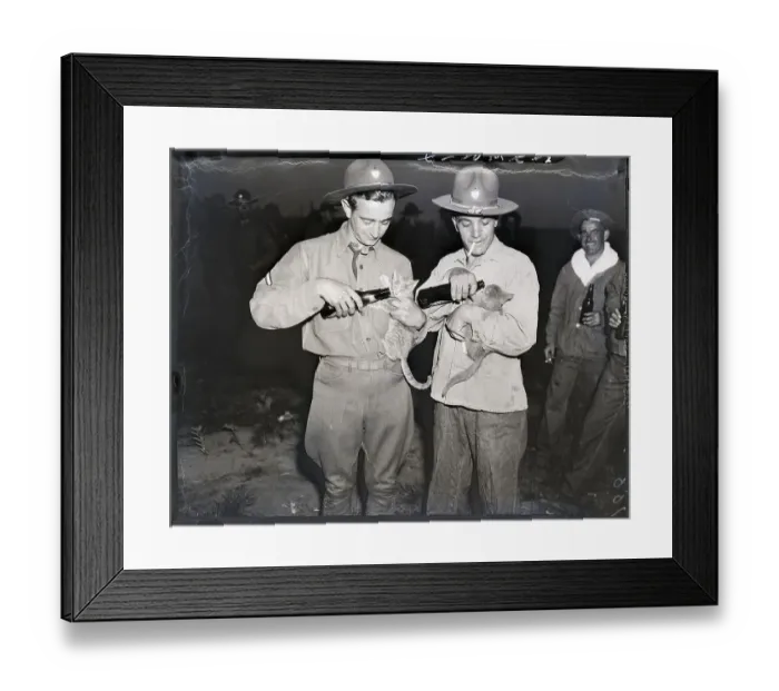 Framed Print : Mascots Of The 26Th Infantry Get Bottle Framed Print : Mascots Of The 26Th Infantry Get Bottle