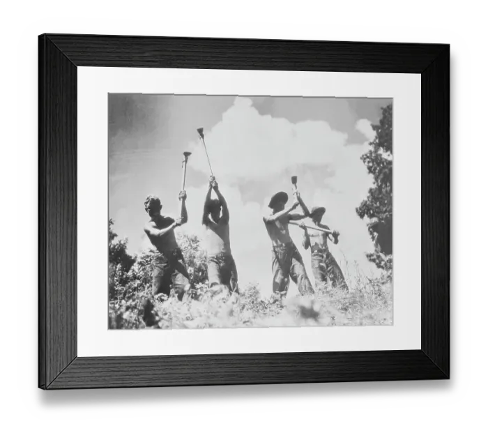 Framed Print : Boys Cutting Down Trees for New Highway Framed Print : Boys Cutting Down Trees for New Highway