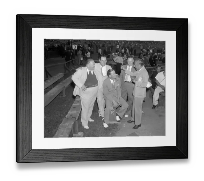 Framed Print : Diamond Stars, fight Fans Framed Print : Diamond Stars, fight Fans