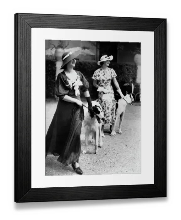 Framed Print : Dog Competition in Paris