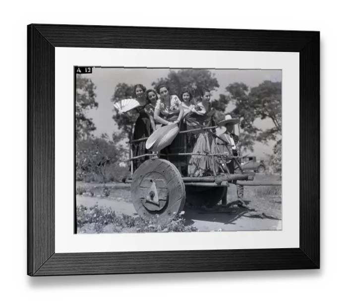 Framed Print : Women in Ox Drawn Cart Beauty Pageant Framed Print : Women in Ox Drawn Cart Beauty Pageant
