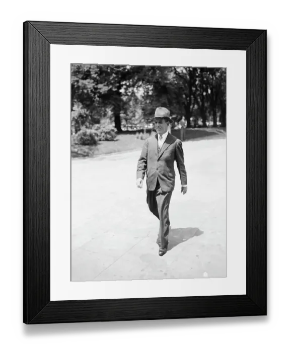 Framed Print : John J. Raskob Walking White House Framed Print : John J. Raskob Walking White House