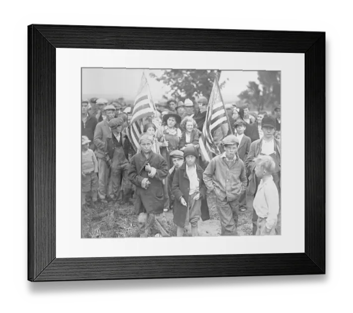 Framed Print : Protesters Carrying American Flags Framed Print : Protesters Carrying American Flags