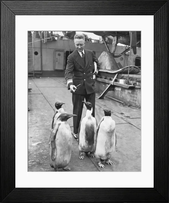 Framed Print : Richard E. Byrd with Penguins Framed Print : Richard E. Byrd with Penguins