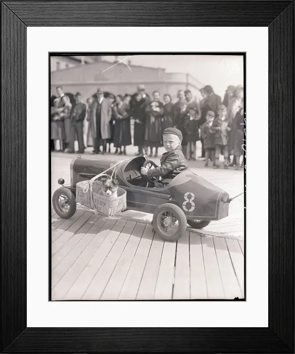Framed Print : Contestant in The mutt Parade Framed Print : Contestant in The mutt Parade