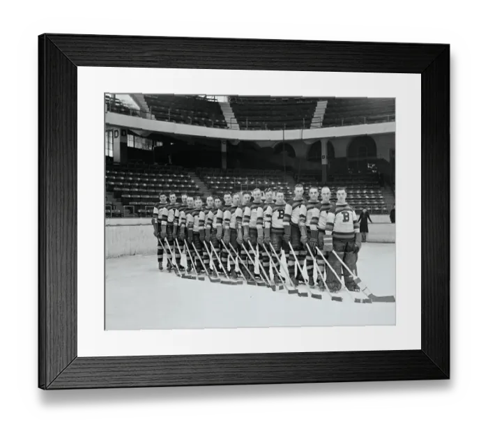 Framed Print : Boston Bruins Hockey Team Portrait Framed Print : Boston Bruins Hockey Team Portrait