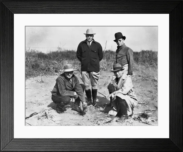 Framed Print : Planting First Tree in National Shelterbelt Framed Print : Planting First Tree in National Shelterbelt