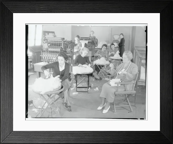 Framed Print : View of Workers and Rabbits in Angora Mill Framed Print : View of Workers and Rabbits in Angora Mill