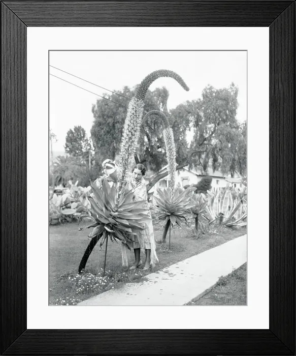 Framed Print : Woman Watering Twin Cactus Plants Framed Print : Woman Watering Twin Cactus Plants