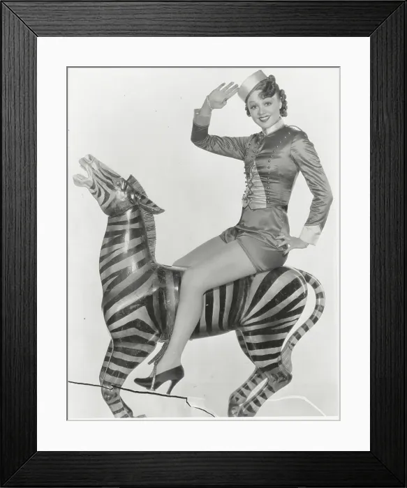 Framed Print : Iris Adrian Posing on Fake Zebra Framed Print : Iris Adrian Posing on Fake Zebra
