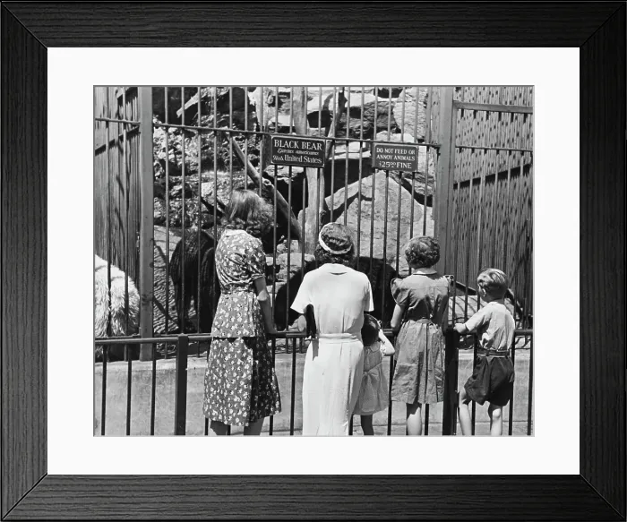 Framed Print : Central Park Zoo, 1935 Framed Print : Central Park Zoo, 1935