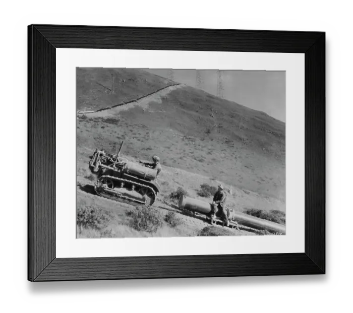 Framed Print : Caterpillar At Work Framed Print : Caterpillar At Work