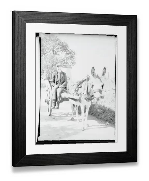Framed Print : Irish Boy Driving a Milk Cart Framed Print : Irish Boy Driving a Milk Cart