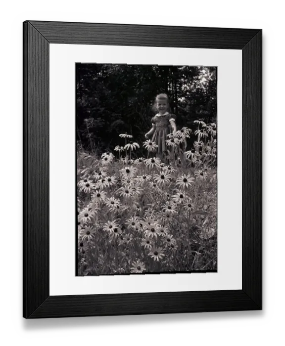 Framed Print : Girl in Daisy Field Framed Print : Girl in Daisy Field
