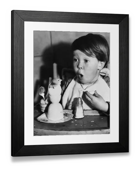 Framed Print : Boy (4-5) surprised by chicken in egg on table Framed Print : Boy (4-5) surprised by chicken in egg on table