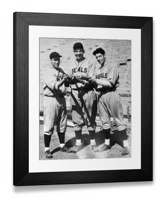 Framed Print : Baseball Players Ernie Sulik, Mike Hunt and Joe Dimaggio Framed Print : Baseball Players Ernie Sulik, Mike Hunt and Joe Dimaggio
