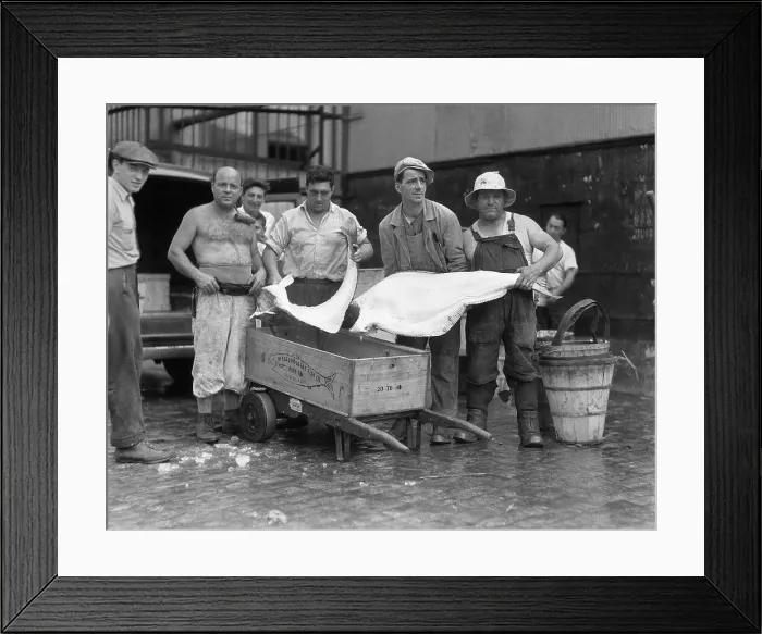 Framed Print : Handlers At Fulton Fishmarket Framed Print : Handlers At Fulton Fishmarket
